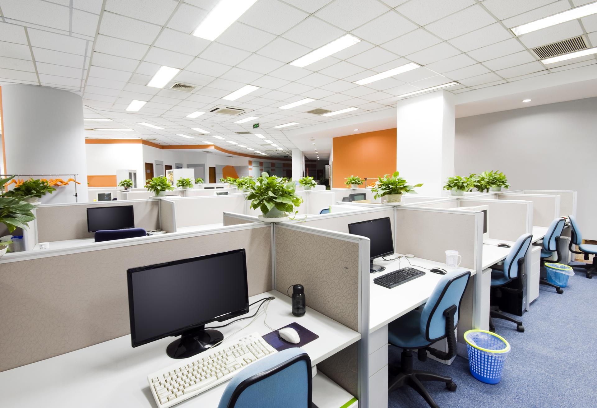 Top Commercial Cleaning In West Auckland